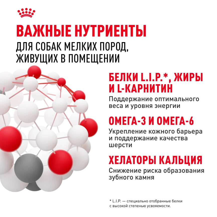 Сухой корм Royal Canin Mini Indoor Adult для собак, 3 кг фото 6