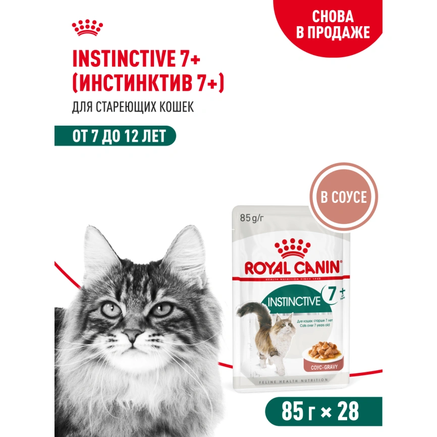 Влажный корм Royal Canin Instinctive 7+ в соусе для кошек старше 7 лет, пауч, 85 г фото 13