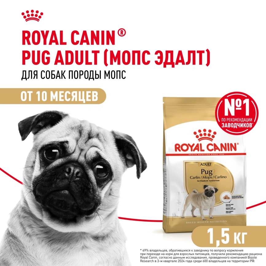 Сухой корм Royal Canin Pug Adult для взрослых собак, 1,5 кг фото 1