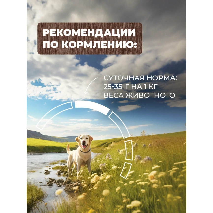 Влажный корм Родные корма Rice для собак, теленок с рисом по-кубански, 970 г фото 5