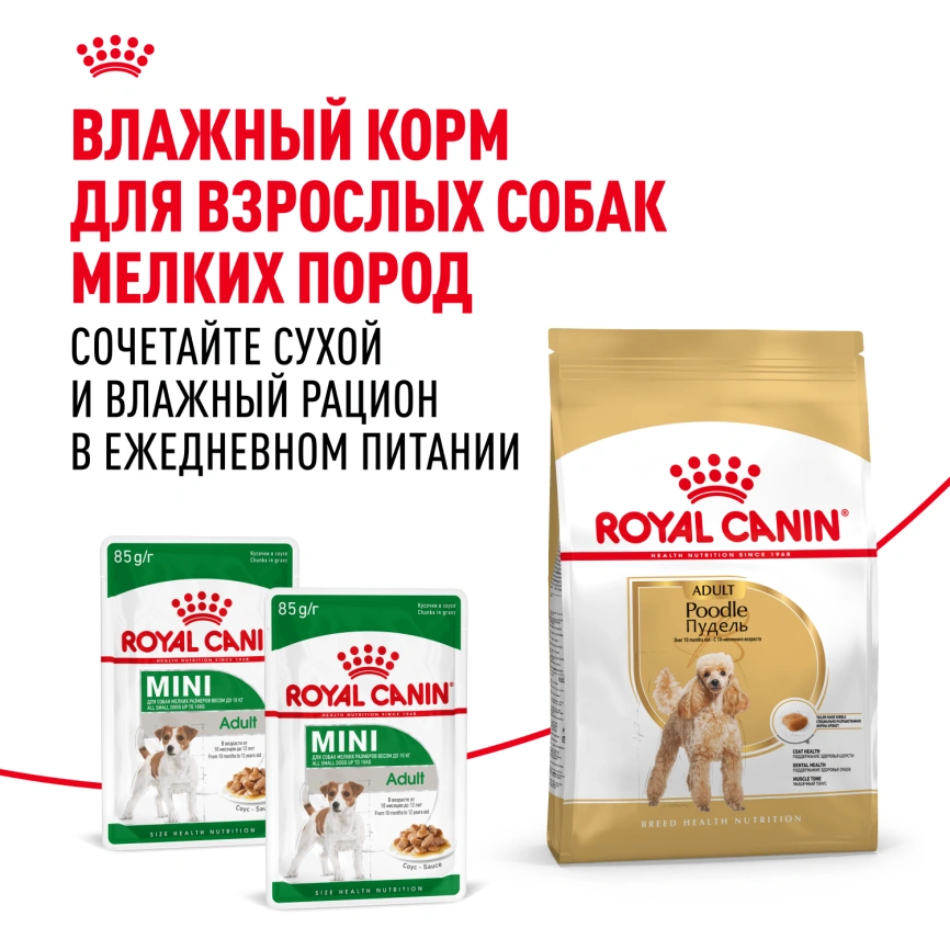 Сухой корм Royal Canin Poodle Adult для взрослых собак, 1,5 кг фото 8
