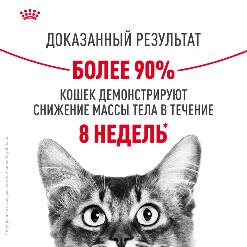 Сухой корм Royal Canin Light Weight Care для кошек, 8 кг фото 11
