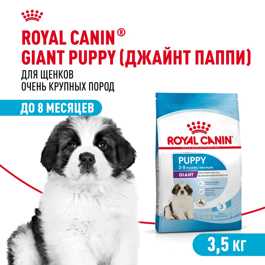 Сухой корм Royal Canin Giant Puppy для щенков, 3,5 кг фото 1