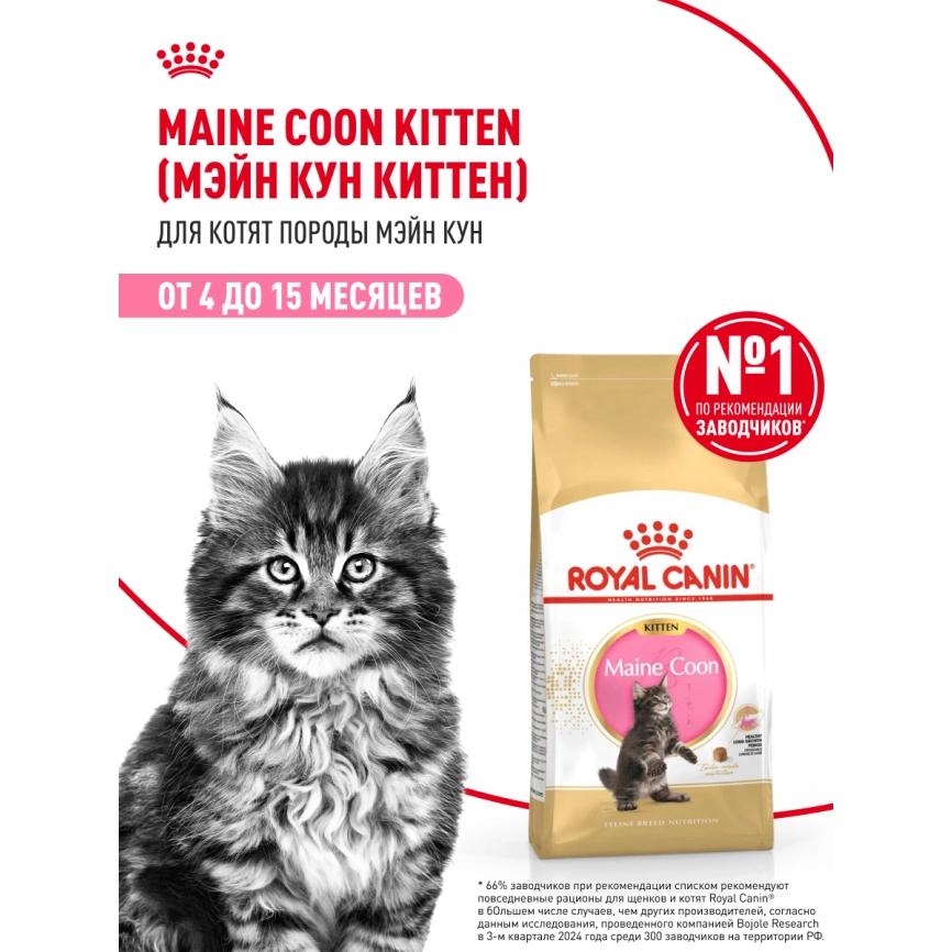 Сухой корм Royal Canin Kitten Maine Coon для котят, 4 кг фото 14