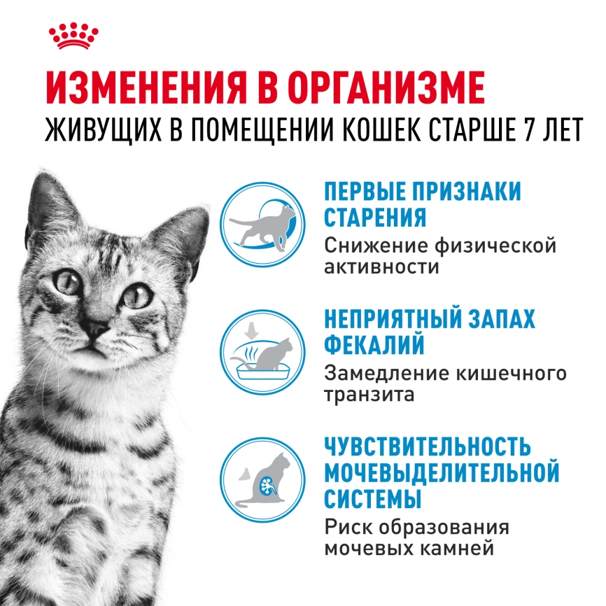 Сухой корм Royal Canin Indoor 7+ для кошек, 400 г фото 5