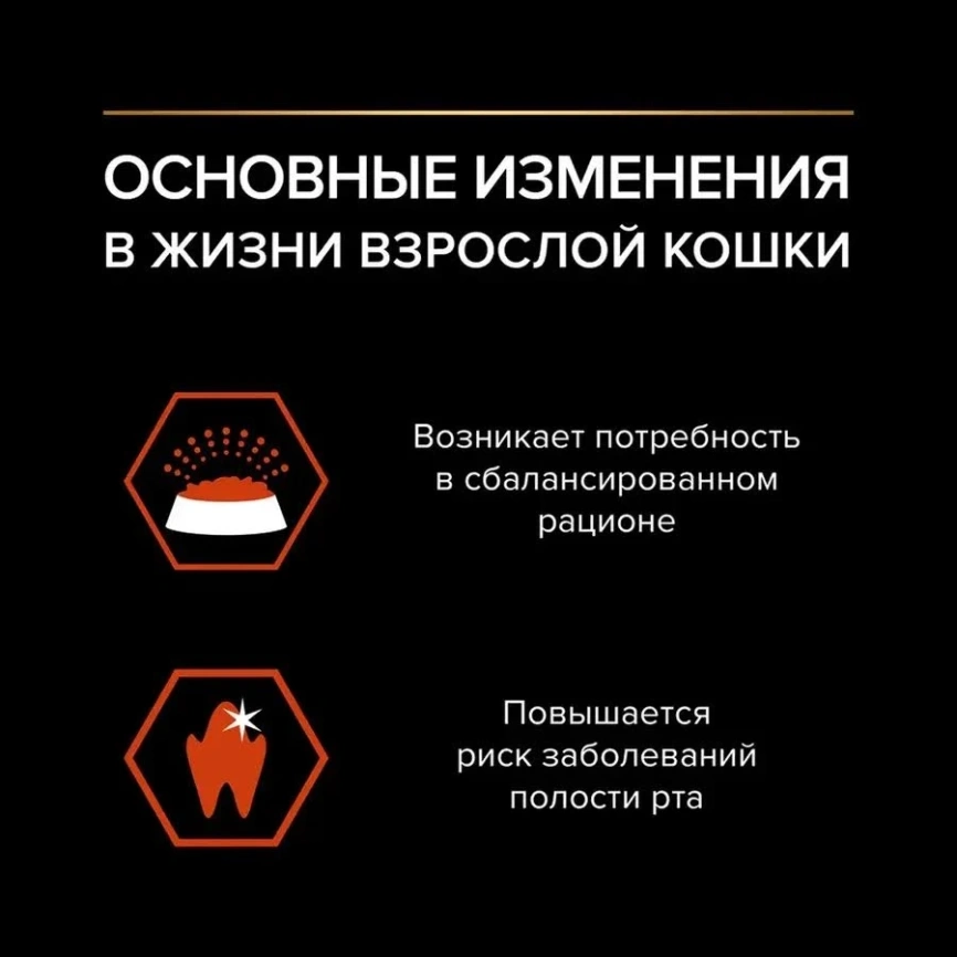 Сухой корм PRO PLAN Salmon для взрослых кошек, с высоким содержанием лосося, 400 г фото 3