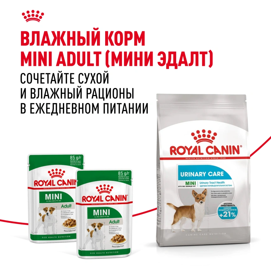 Сухой корм Royal Canin Mini Urinary Care для собак, 1 кг фото 8