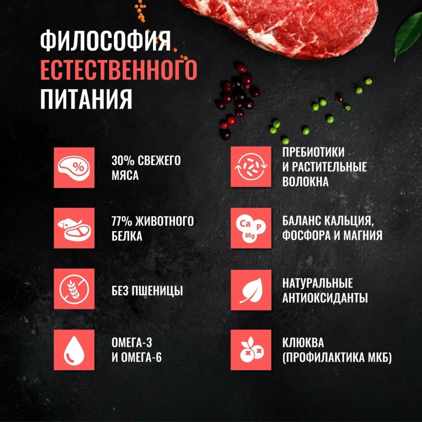 Сухой корм Одно Мясо Beef для стерилизованных кошек, с говядиной, 8 кг фото 2