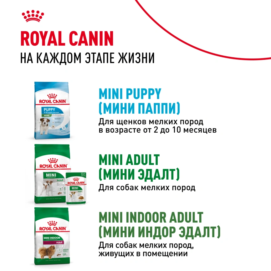 Сухой корм Royal Canin Mini Starter Mother & Babydog для щенков и кормящих сук, 3 кг фото 10