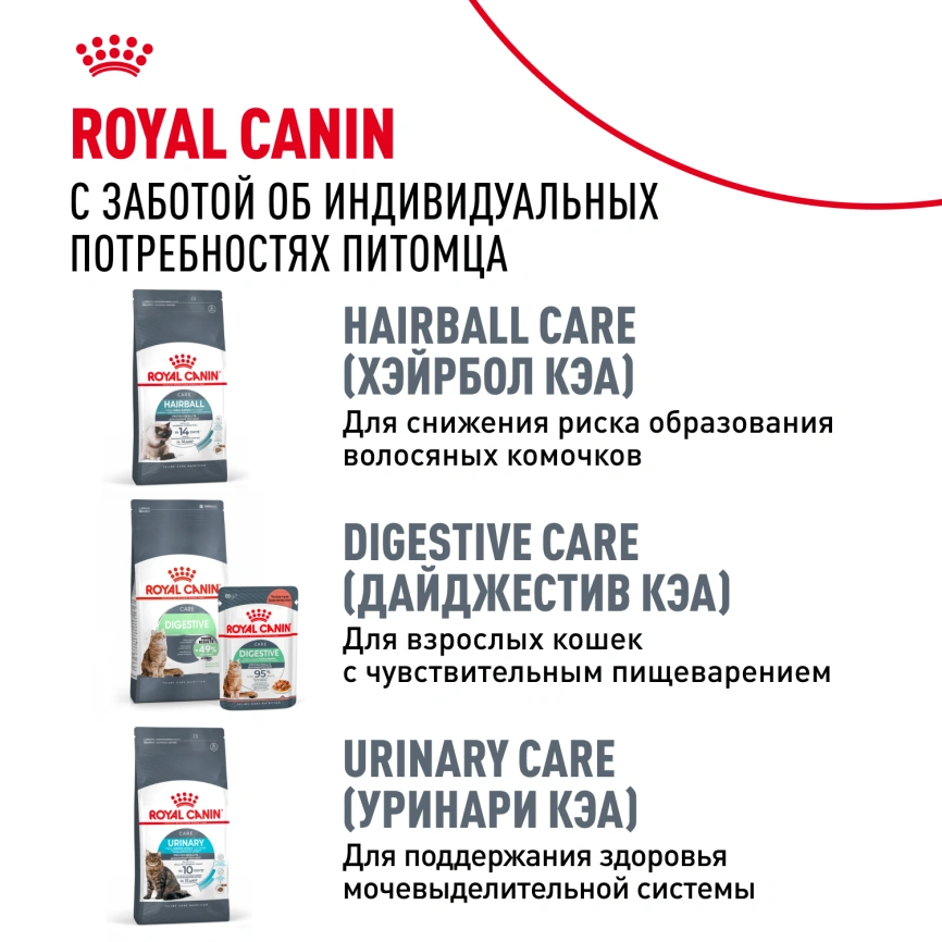 Сухой корм Royal Canin Hair & Skin Care для кошек, 2 кг фото 10