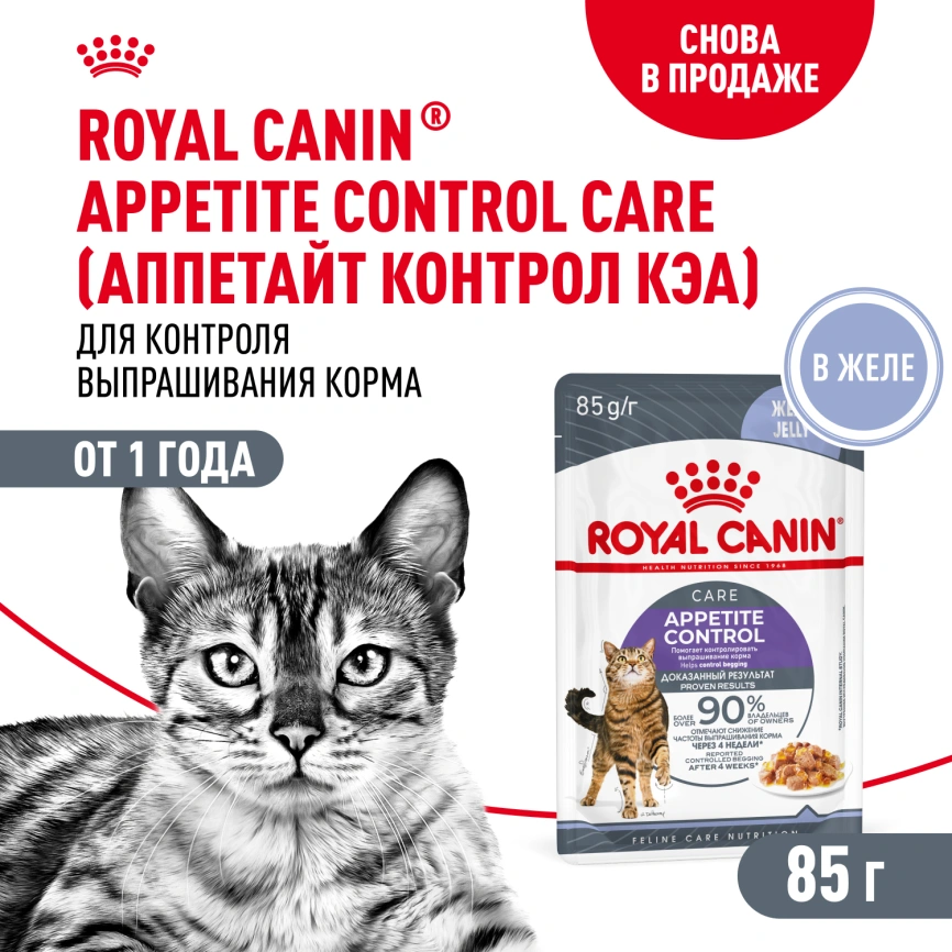 Влажный корм Royal Canin Appetite Control Care в желе для взрослых кошек, для контроля выпрашивания корма, пауч, 85 г фото 1