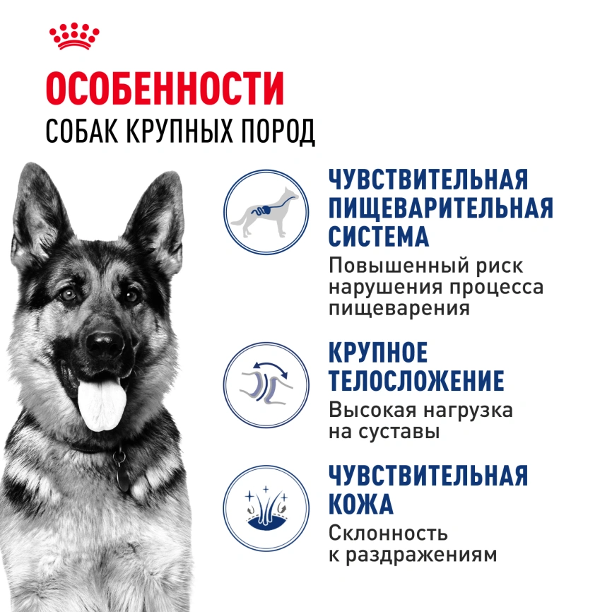 Сухой корм Royal Canin Maxi Adult для собак, 15 кг фото 2