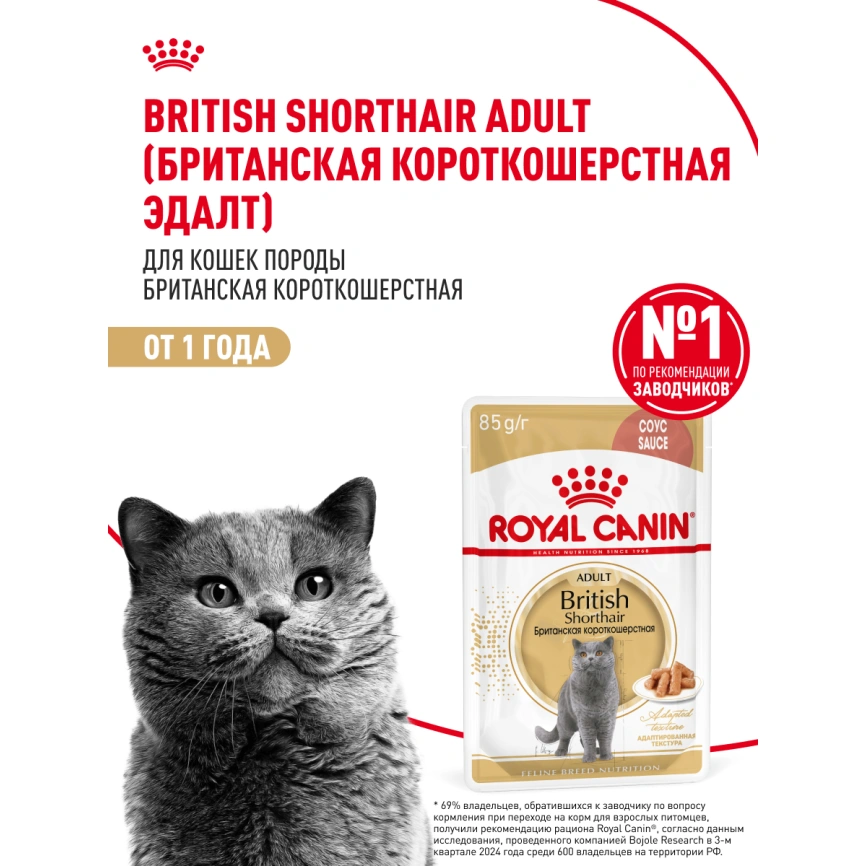 Влажный корм Royal Canin British Shorthair в соусе для кошек породы британская короткошерстная и шотландская вислоухая старше 1 года, пауч, 85 г фото 15