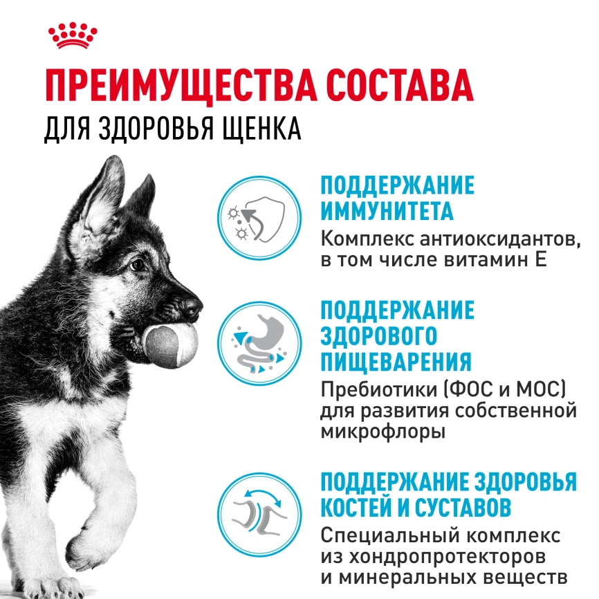 Сухой корм Royal Canin German Shepherd Puppy для щенков, 12 кг фото 3