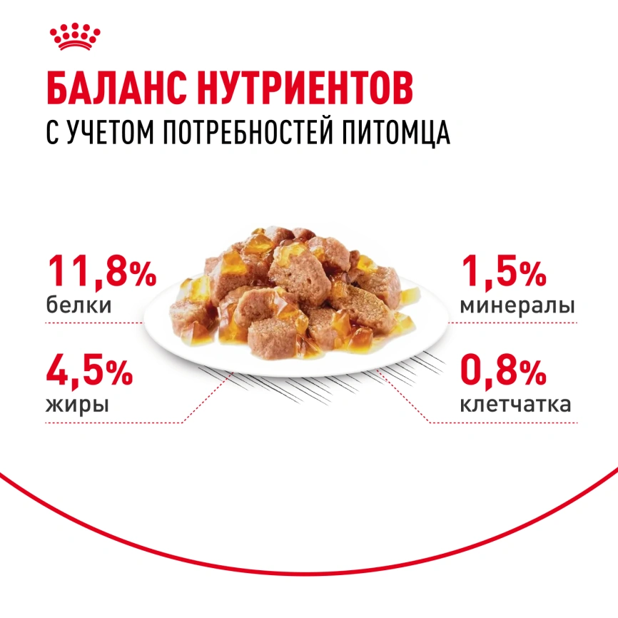 Влажный корм Royal Canin Instinctive в желе для взрослых кошек старше 1 года, пауч, 85 г фото 4