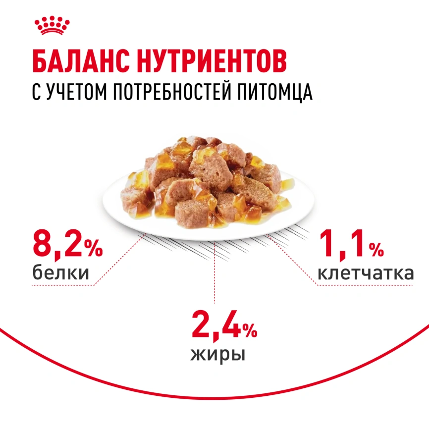 Влажный корм Royal Canin Appetite Control Care в желе для взрослых кошек, для контроля выпрашивания корма, пауч, 85 г фото 4