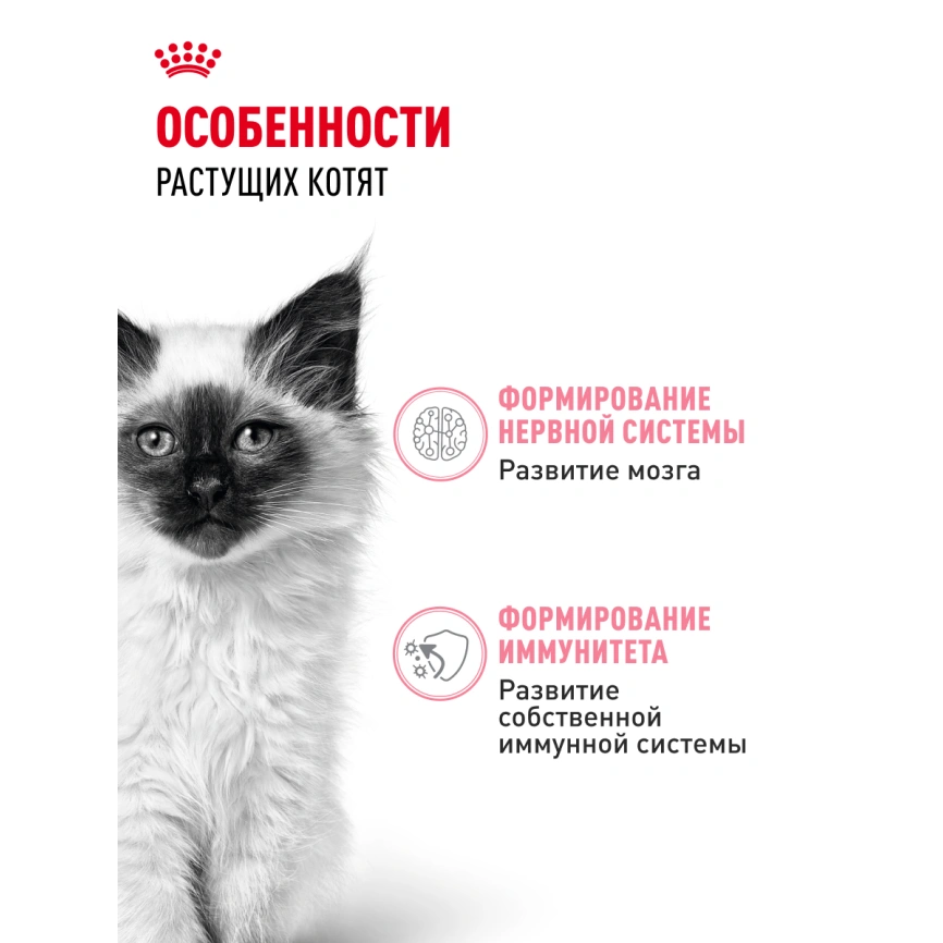 Влажный корм Royal Canin Kitten в соусе для котят до 12 месяцев, пауч, 85 г фото 2