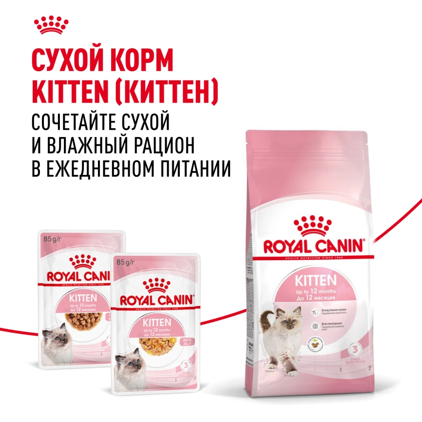 Влажный корм Royal Canin Kitten в соусе для котят до 12 месяцев, пауч, 85 г фото 12