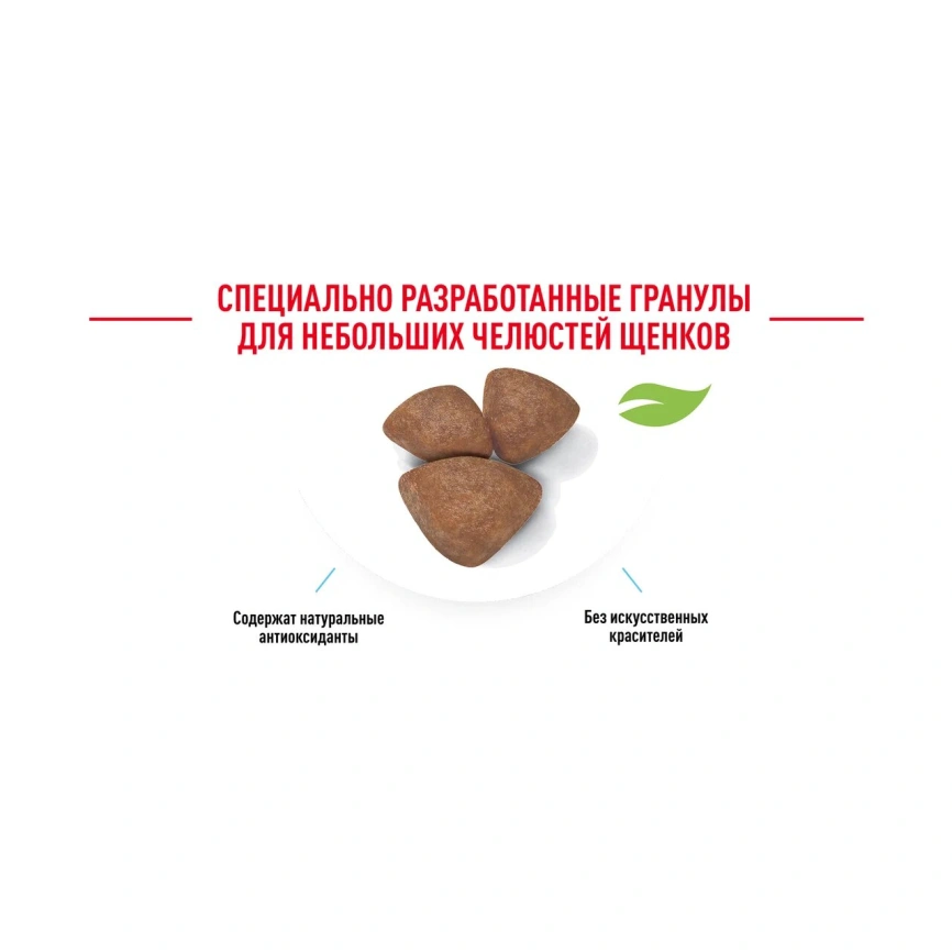 Сухой корм Royal Canin X-Small Puppy для щенков, 1,5 кг фото 18