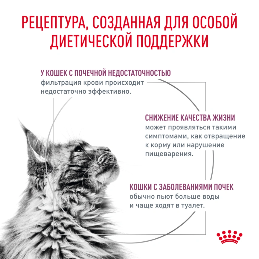 Влажный корм Royal Canin Renal Fish для кошек при заболеваниях почек, в соусе, с рыбой, пауч, 85 г фото 3