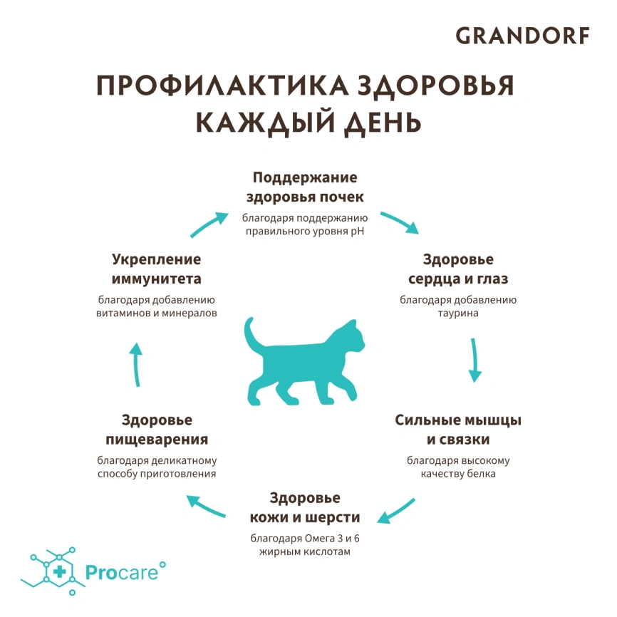 Сухой корм Grandorf Lamb & Turkey Kitten для котят, с ягнёнком и индейкой, 400 г фото 4