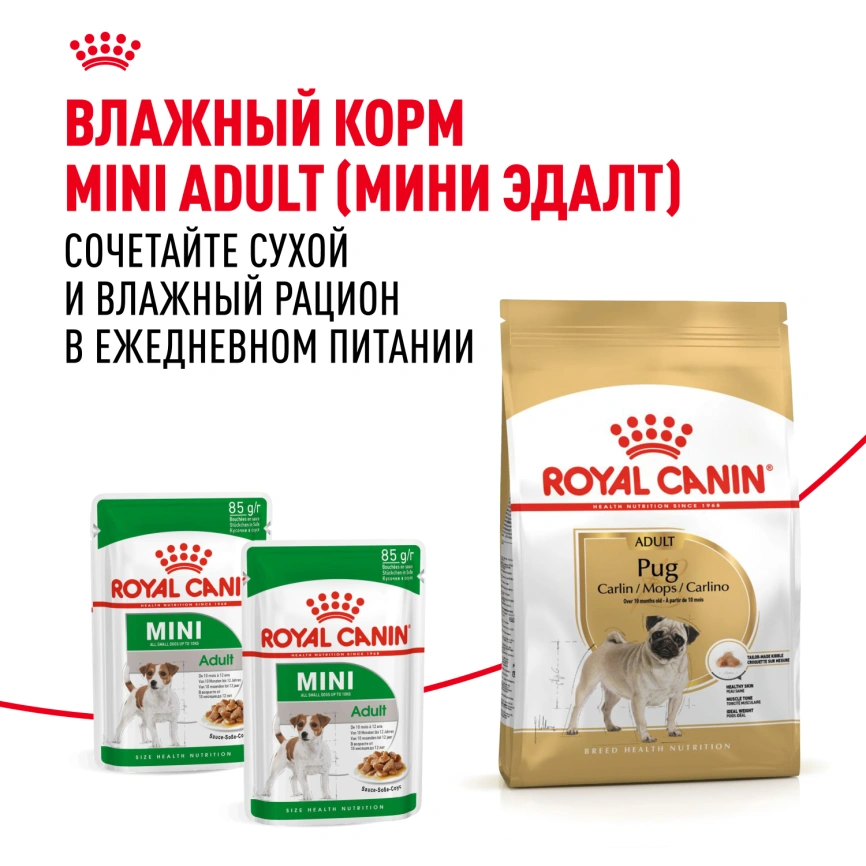 Сухой корм Royal Canin Pug Adult для взрослых собак, 7,5 кг фото 8