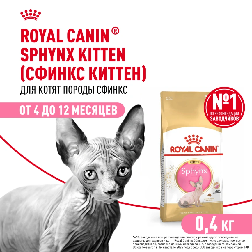 Сухой корм Royal Canin Sphynx Kitten для котят породы сфинкс до 12 месяцев, 400 г фото 1