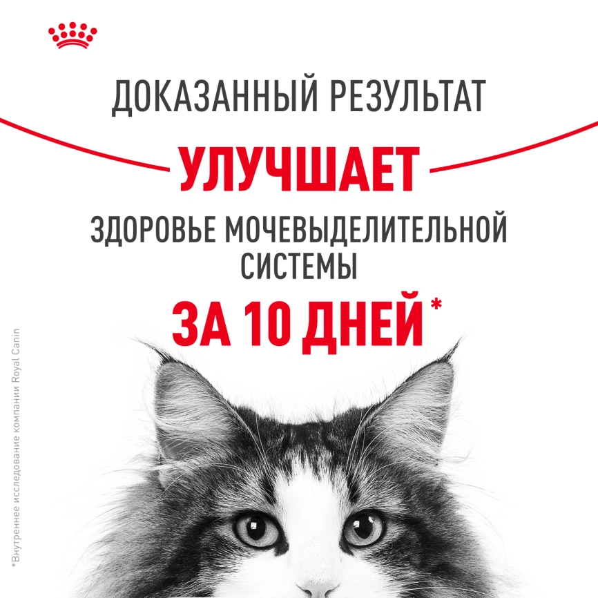Сухой корм Royal Canin Urinary Care для поддержания здоровья мочевыделительной системы кошек, 4 кг фото 4