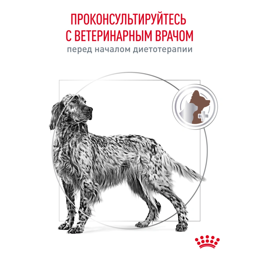 Сухой корм Royal Canin Gastrointestinal для собак, 2 кг фото 21