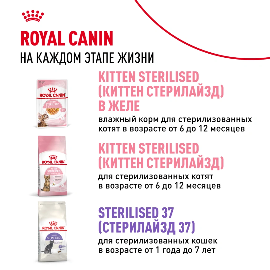Влажный корм Royal Canin Kitten в соусе для котят до 12 месяцев, пауч, 85 г фото 11