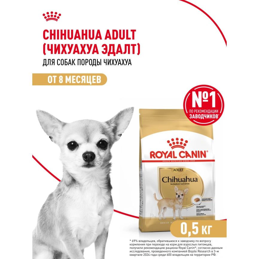 Сухой корм Royal Canin Chihuahua Adult для собак породы чихуахуа, 500 г фото 17