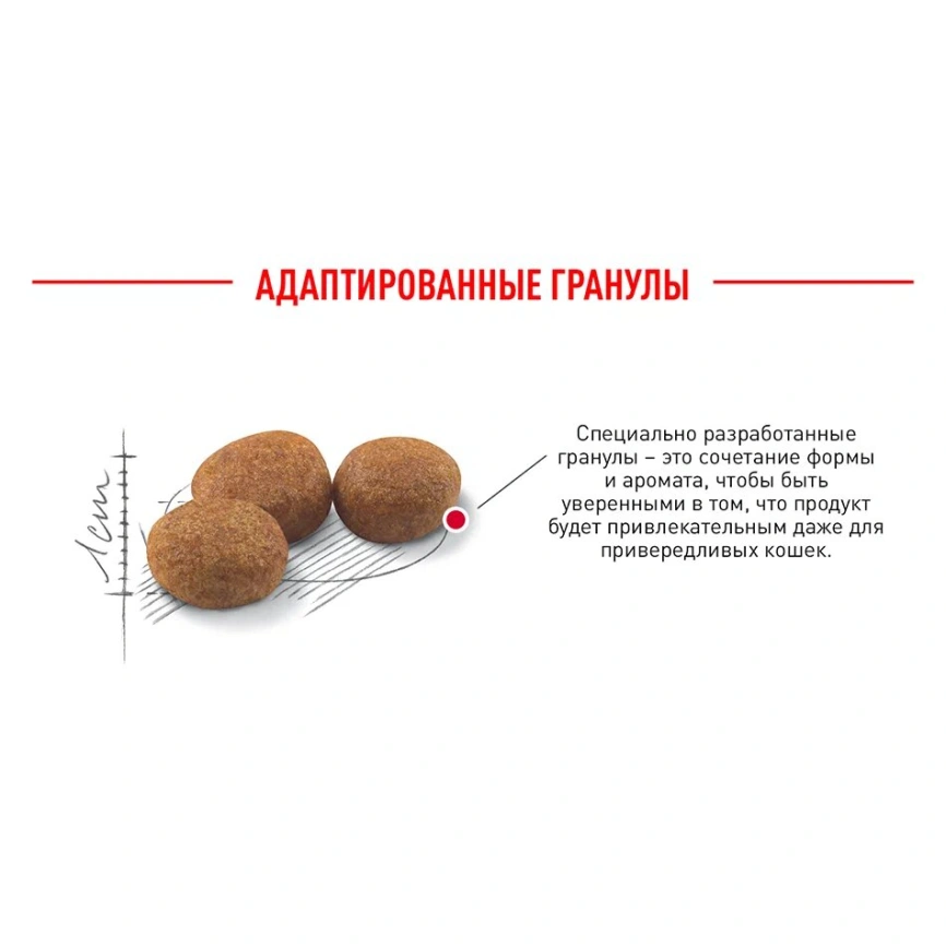 Сухой корм Royal Canin Sterilised для кастрированных котов и стерилизованных кошек, 4 кг фото 17