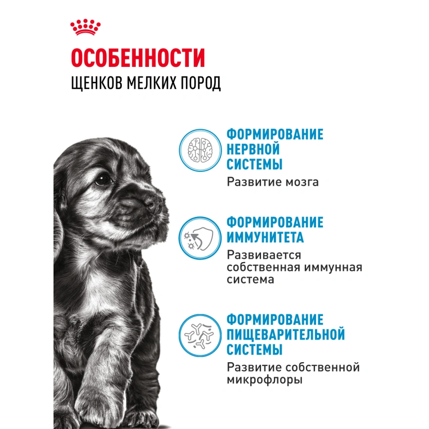 Влажный корм Royal Canin Mini Puppy в соусе для щенков мелких пород до 10 месяцев, пауч, 85 г фото 2