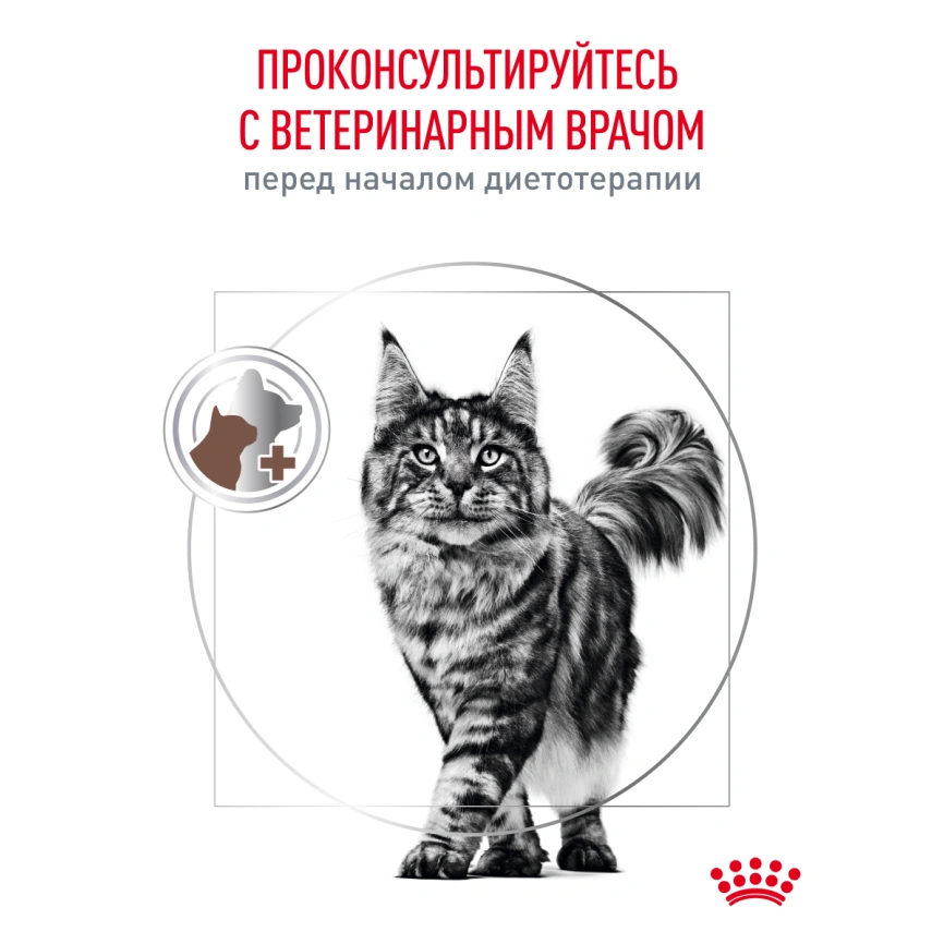 Сухой корм Royal Canin Gastrointestinal для кошек, 2 кг фото 19
