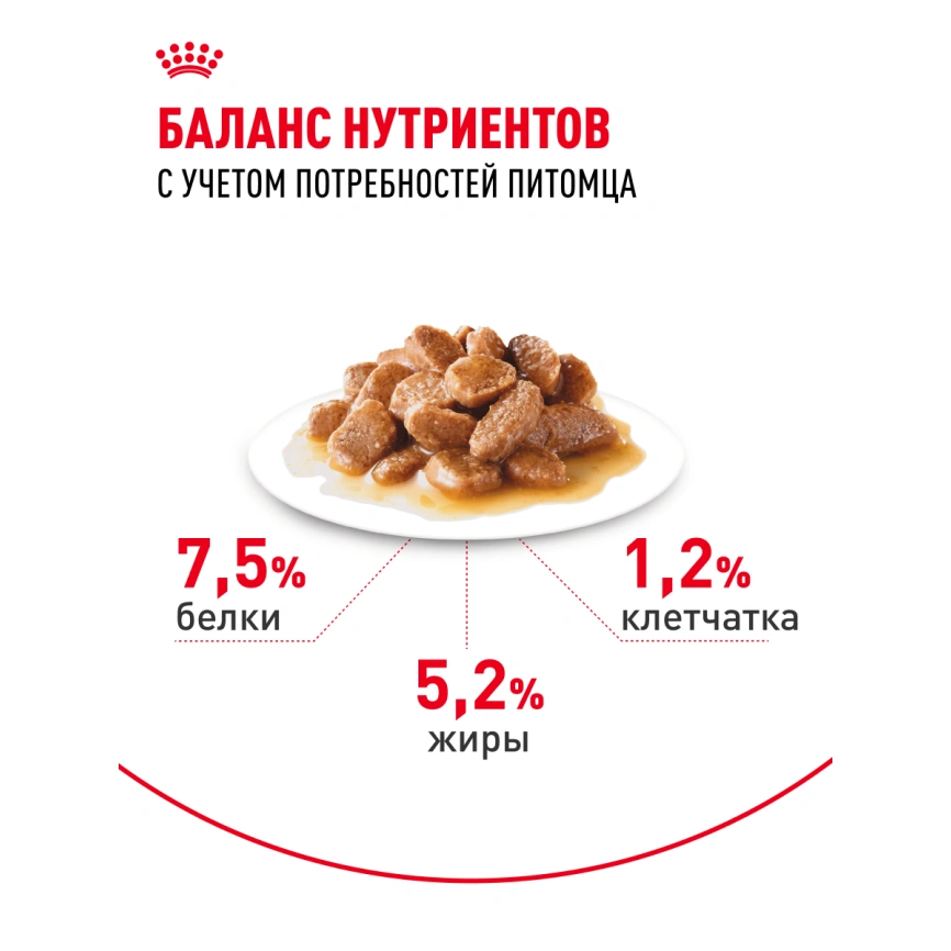 Влажный корм Royal Canin Mini Adult в соусе для взрослых собак мелких пород старше 10 месяцев, пауч, 85 г фото 4