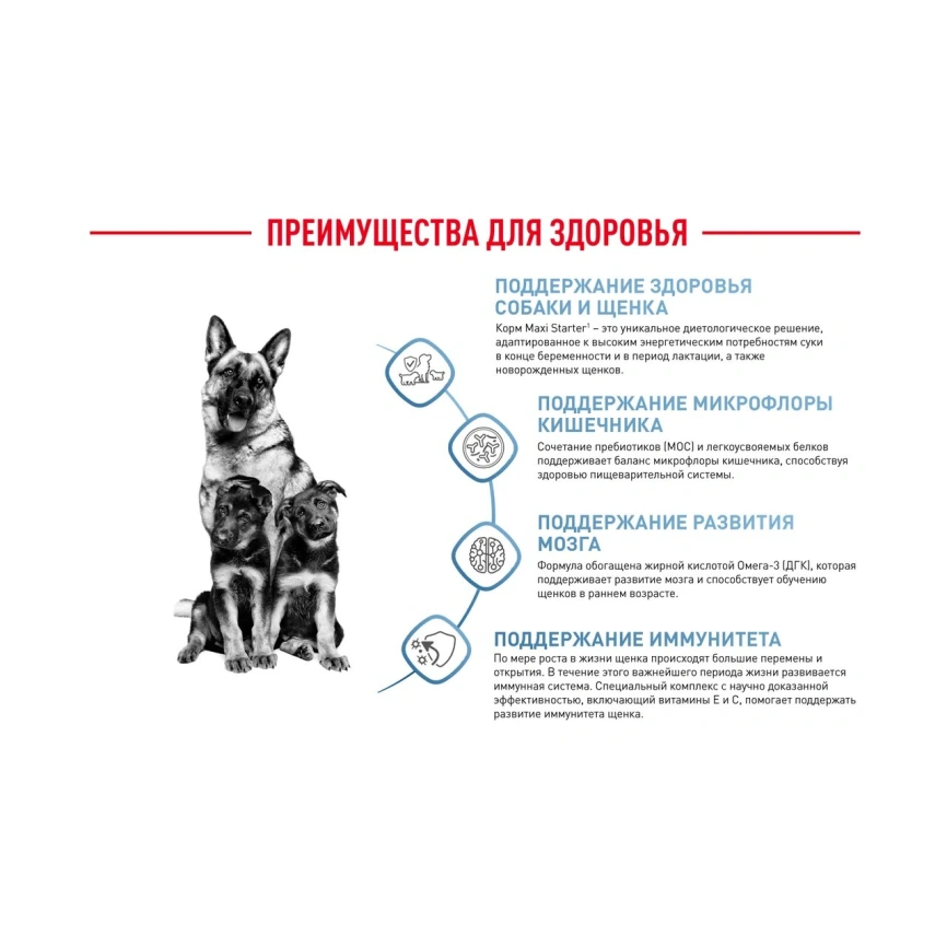 Сухой корм Royal Canin Maxi Starter Mother & Babydog для собак, 4 кг фото 5