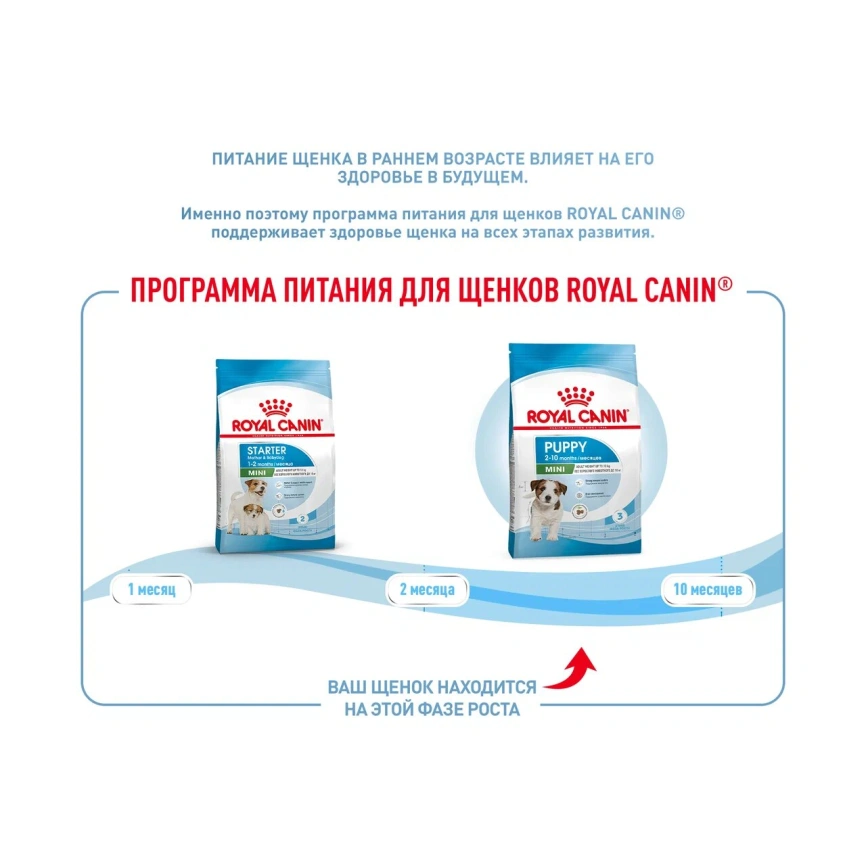 Сухой корм Royal Canin Mini Puppy для щенков, 2 кг фото 14