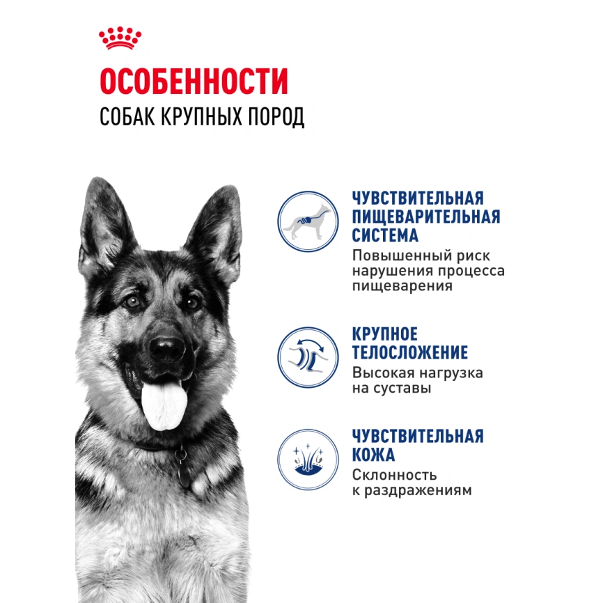 Сухой корм Royal Canin Maxi Adult для собак, 3 кг фото 14