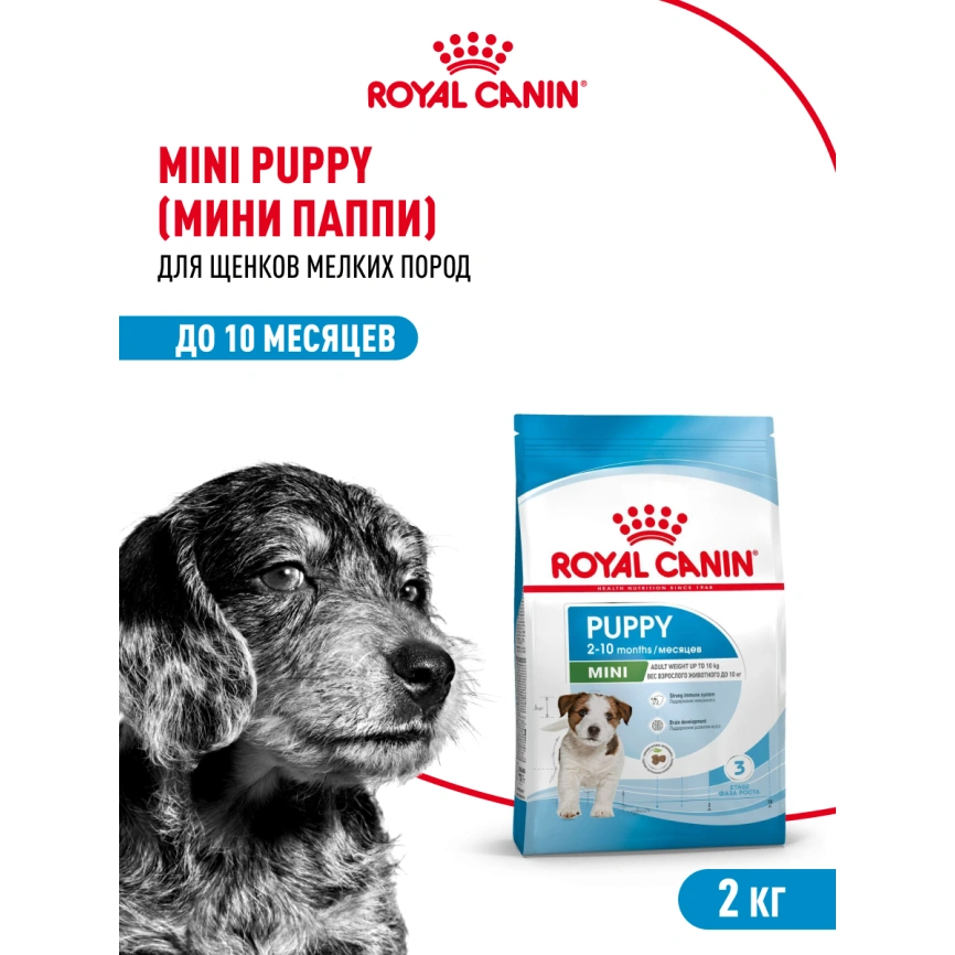 Сухой корм Royal Canin Mini Puppy для щенков, 2 кг фото 13