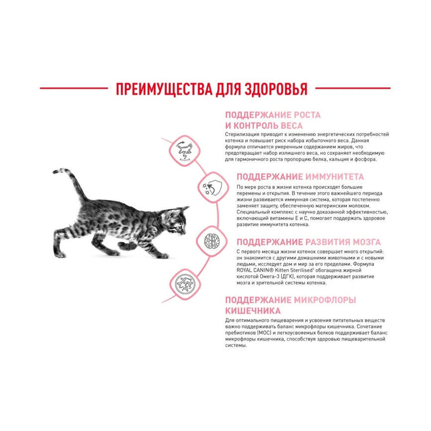 Сухой корм Royal Canin Kitten Sterilised для котят, 400 г фото 15