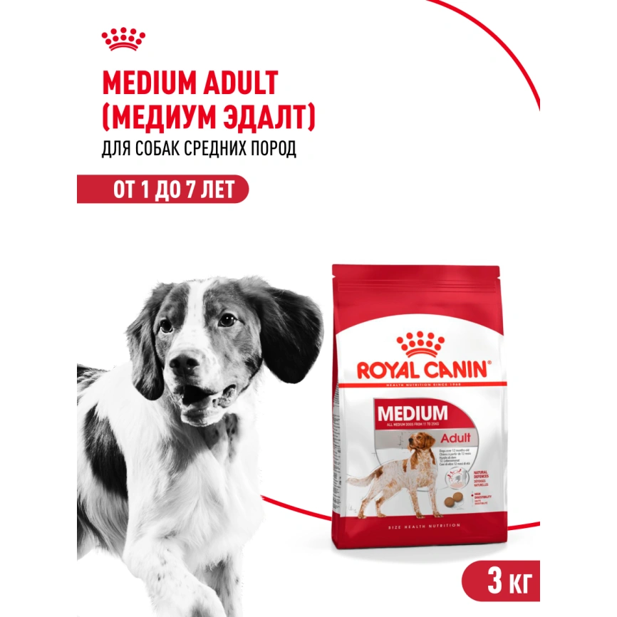 Сухой корм Royal Canin Medium Adult для собак, 3 кг фото 13