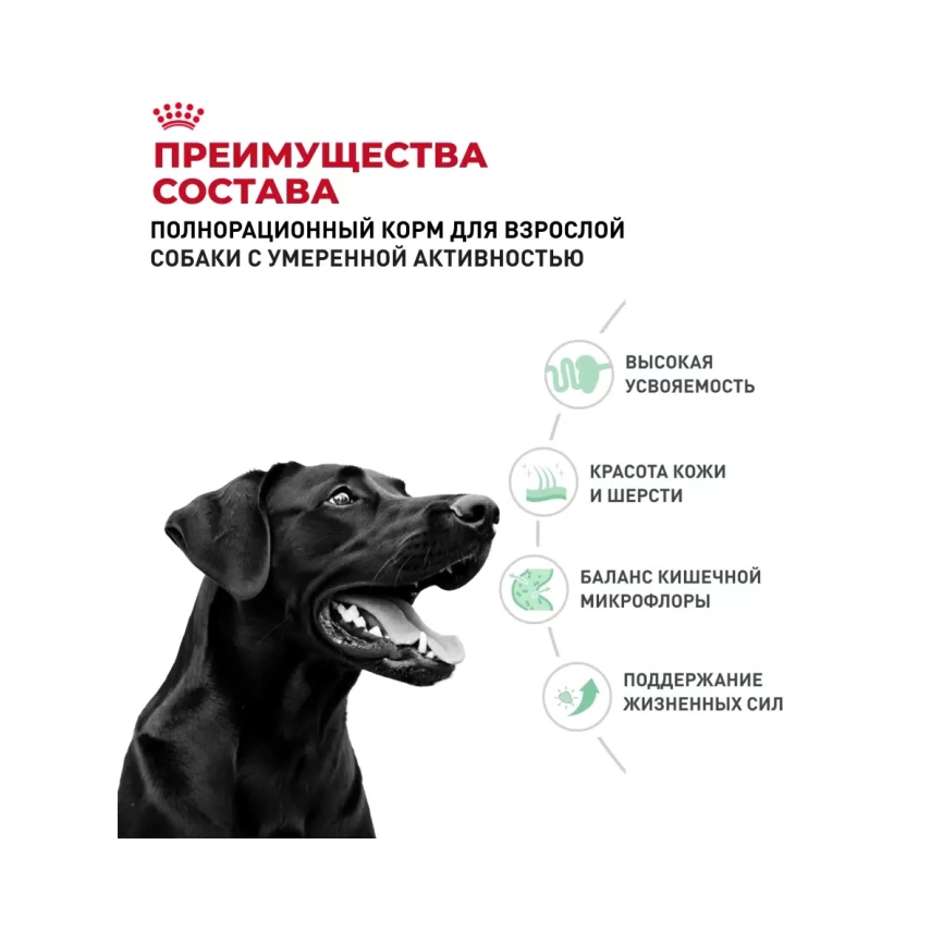 Сухой корм Royal Canin Club Adult Cс для взрослых собак, 20 кг фото 2