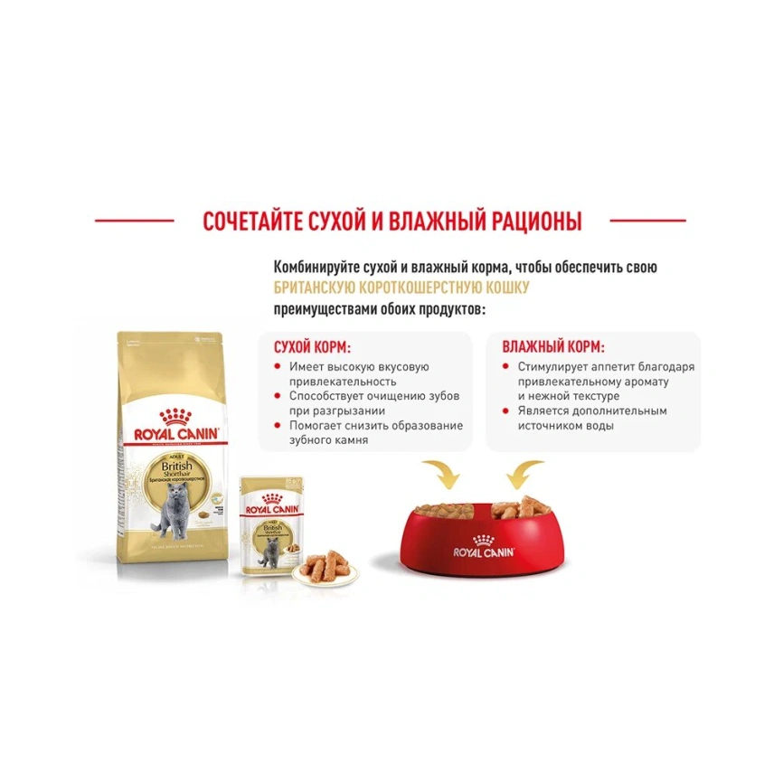 Сухой корм Royal Canin Maine Coon для кошек, 4 кг фото 14