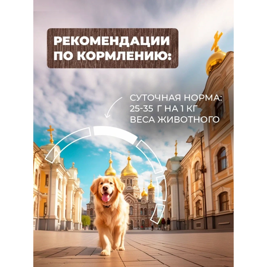 Влажный корм Родные корма Giblets для собак, птица с потрошками в желе по-московски, 410 г фото 5