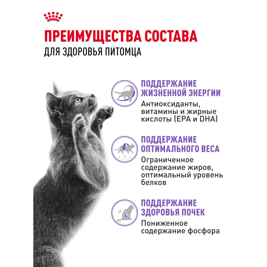 Сухой корм Royal Canin Sterilised 7+ для стерилизованных кошек и кастрированных котов, 400 г фото 16