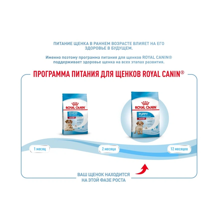 Сухой корм Royal Canin Medium Puppy для щенков, 14 кг фото 16