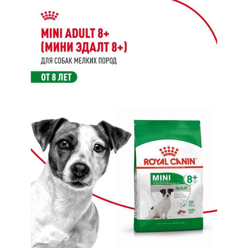 Сухой корм Royal Canin Mini Adult 8+ для пожилых собак, 4 кг фото 13