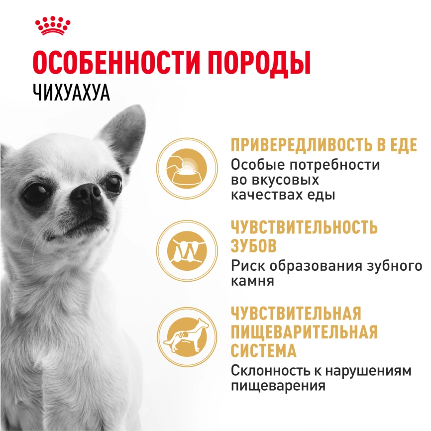 Сухой корм Royal Canin Chihuahua Adult для собак породы чихуахуа, 3 кг фото 2