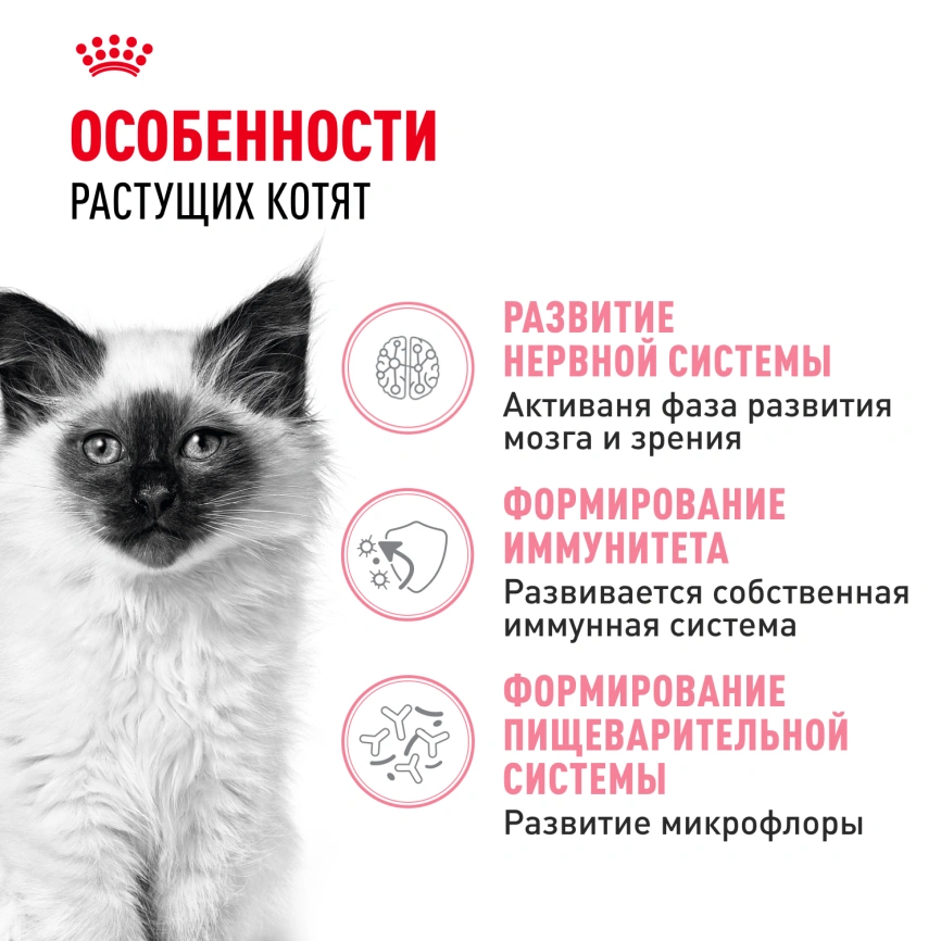 Сухой корм Royal Canin Kitten для котят, 4 кг фото 2