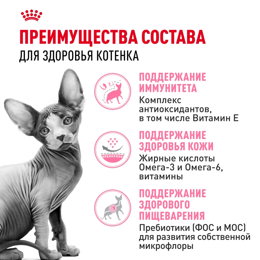 Сухой корм Royal Canin Sphynx Kitten для котят породы сфинкс до 12 месяцев, 400 г фото 3